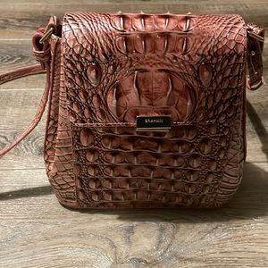 Brahmin Purse